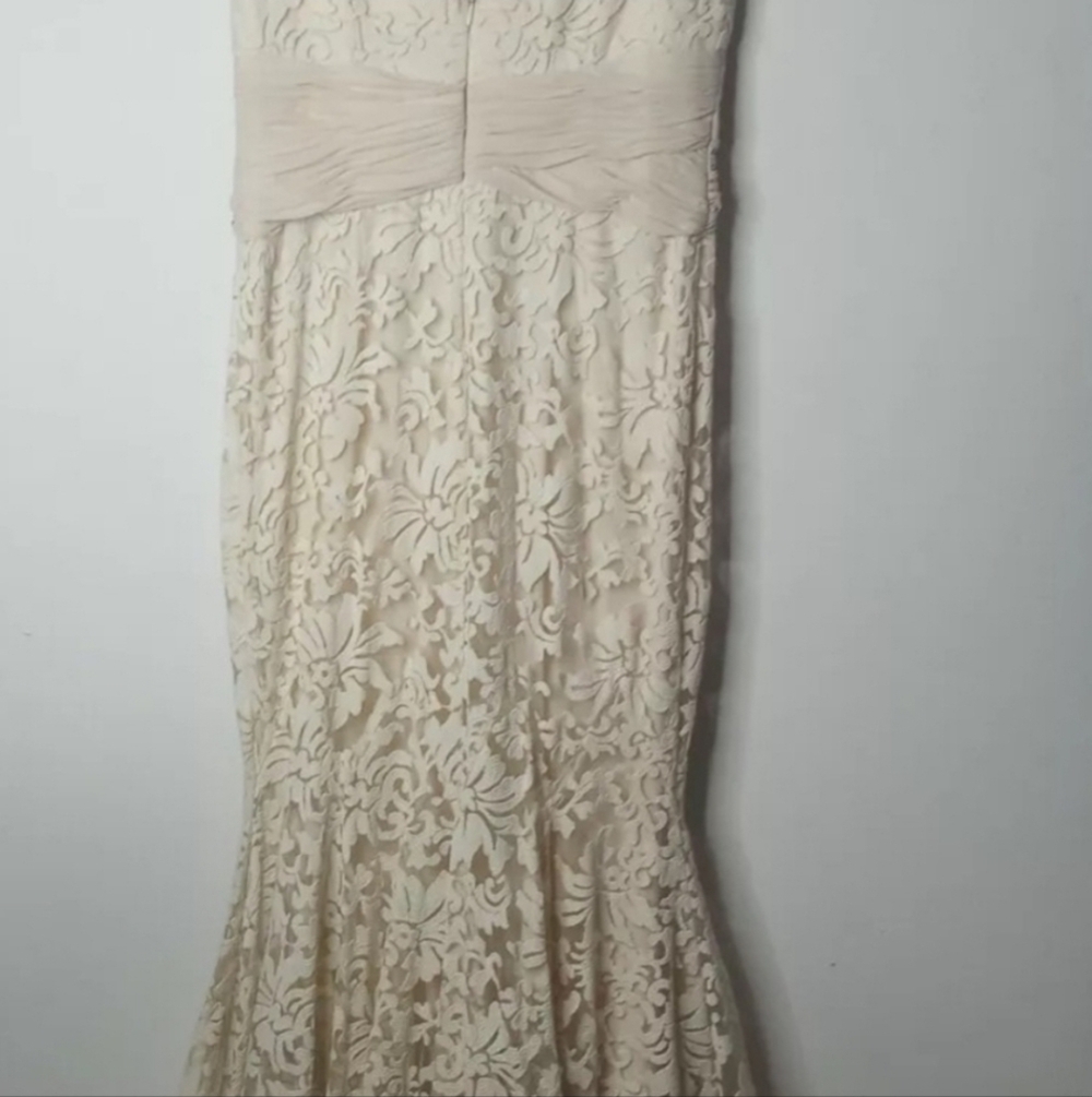 Elegant Cream Lace Dress - Picture 6 of 13
